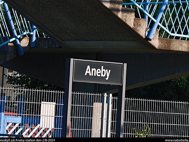 Aneby