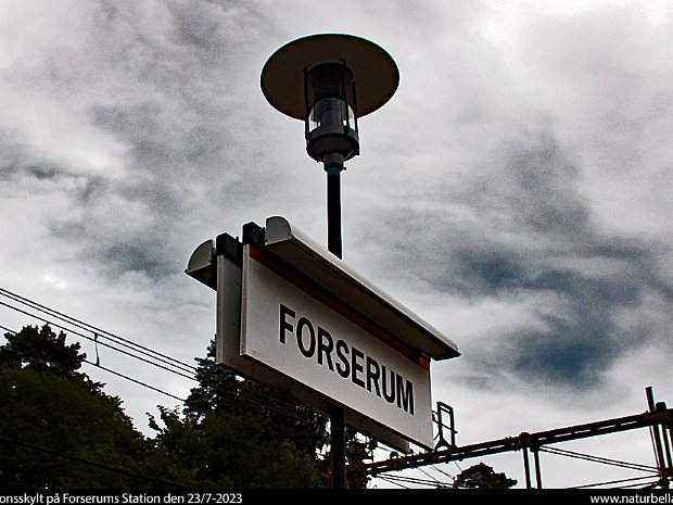 Forserum