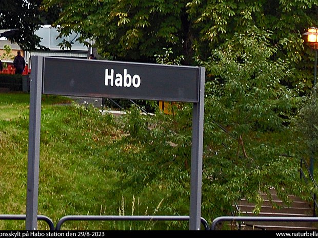 Habo
