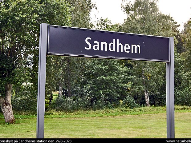 Sandhem