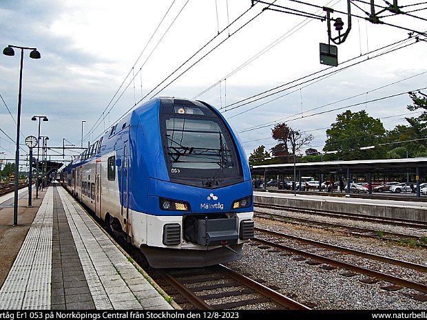ER1