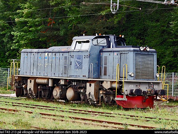STAB T43